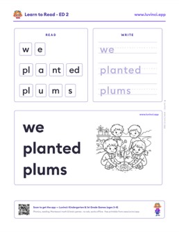 Free printable suffixes phonics worksheet: “we planted plums” (UFLI lessons 63–68), kindergarten and 1st grade